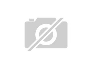 Unsere Babys sind am Freitag den 13. 5. 2021 ge